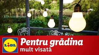 O gradina luminata • din 25 Iunie 2020 [upl. by Inoy516]