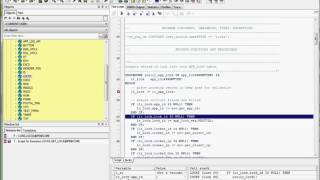 PLSQL Developer Debugger [upl. by Doig595]