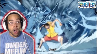 Luffys Haki  One Piece Episode 478 REACTION [upl. by Ahsied]