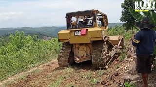 Stunning Caterpillar D6R XL Bulldozer Widens Plantation Road [upl. by Bough360]