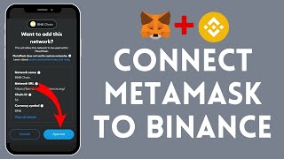 How to Connect MetaMask to Binance 2024  Sync MetaMask to Binance [upl. by Donnenfeld]