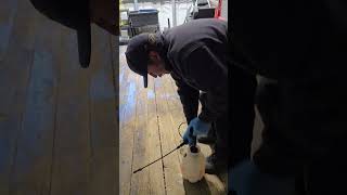 Applying wood sealer to the trailer deck [upl. by Herrick]