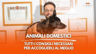 Animali domestici tutti i consigli per accoglierli al meglio [upl. by Yor]