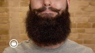 Why Beards Stop Growing  YEARD WEEK 29 [upl. by Altis]