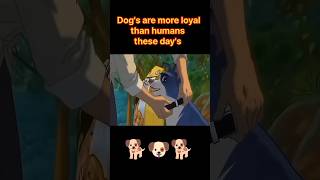 dogs 🐶 vs human ✨relations cute dog emotional viralshorts trendingshortssubscribe1mlike [upl. by Kutzenco]