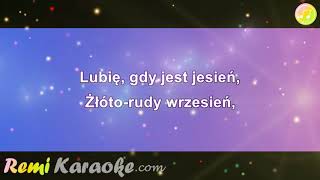 Akcent  Życie To Są Chwile karaoke  RemiKaraokecom [upl. by Roxie]