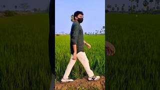 Weakened Agriculture  Maharshi songs  instantfeelingo1 padharapadhara viral trending shorts [upl. by Eicirtap719]