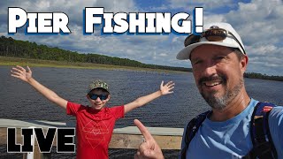 SALTWATER Pier fishing live fish fishing pier florida [upl. by Garate]