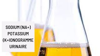 Sodium Na Potassium KIonogramme urinaire [upl. by Stefan]