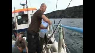 Scrabster  Charter Boat Fishing [upl. by Asilam348]