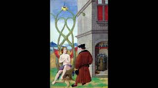 Mysterium Coniunctionis by Carl Jung  Presented by Phoenix Heritage  Part 1 [upl. by Petrick]