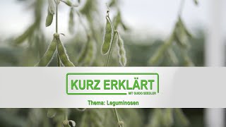 Leguminosen – Kurz Erklärt mit Guido Seedler [upl. by Mcclenon449]