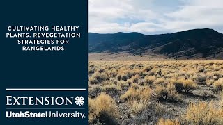 Cultivating Healthy Plants  Revegetation Strategies for Rangelands [upl. by Aisinut287]