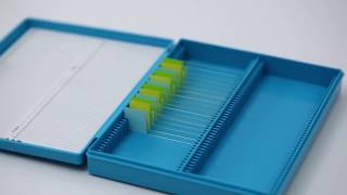 SLIDE BOXES  with hinged lid [upl. by Ainolloppa]