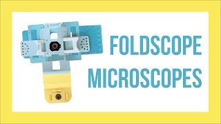 Build a Foldscope Microscope [upl. by Arlene]