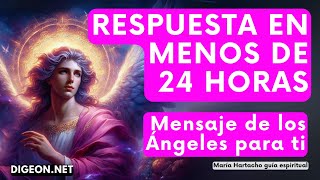 RESPUESTA INMEDIATA💌MENSAJE DE LOS ÁNGELES PARA TI DIGEON Arcángel Zadquiel Ens VERTI [upl. by Eisak]