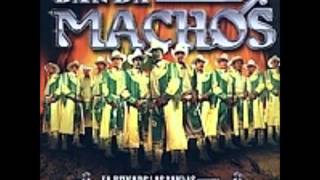 banda machos el huerfanitowmv [upl. by Astrahan]