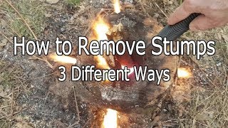 How to Remove Stumps Three Different Ways [upl. by Eninahpets893]