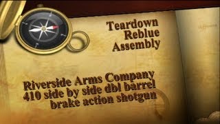 Riverside Arms 410 shotgun teardown nitre blue reassemble [upl. by Leeda804]