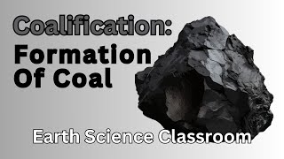 How Does Coal Form What Is Coalification [upl. by Salvatore564]