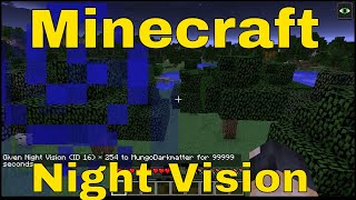 Minecraft Commands  How to Use the Night Vision Command [upl. by Luiza]