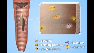 How NeuEves Topical Nutrient Nourishment Works [upl. by Nylsej282]