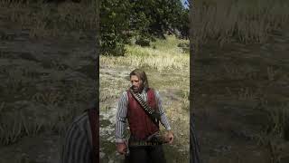 001 Players Know this Rarest Horse in RDR2 [upl. by Yttig]