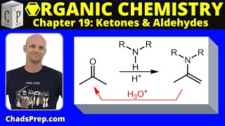 196b Addition of Secondary Amines Enamine Formation [upl. by Narej]