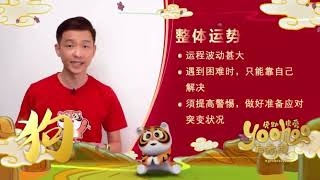 8TV  2022 CNY Zodiac Horoscope  Dog [upl. by Erusaert]