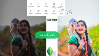 Snapseed New photo editing  How to edit photo with Snapseed apps  face smooth photo editing [upl. by Meaghan]
