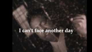 Can You Stop The Rain By Peabo Bryson With Lyrics [upl. by Jangro87]