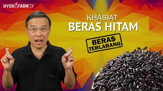 KHASIAT BERAS HITAM  quotBeras Terlarang quot [upl. by Nosila]