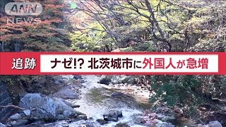 北茨城市に外国人が急増 “普通の一軒家”が茨城県の魅力度アップに一役…一体なぜ？【Jの追跡】2023年12月9日 [upl. by Kare236]