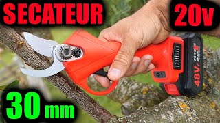 sécateur sans fil 20V de jardin à batterie Aliexpress Amazon 30mm 20V type Bosch EasyPrune [upl. by Tadich]