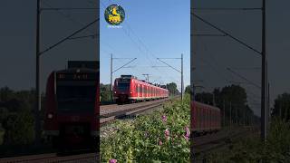 Ein Triebwagen der Baureihe 425 eilt von Friedrichshafen gen Ulm auf der Südbahn shorts [upl. by Evetta]