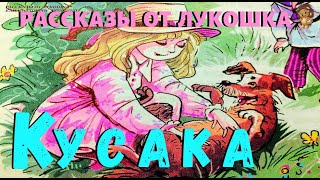 Кусака  Рассказ  Леонид Андреев  Аудио рассказ Кусака  Рассказы о животных  Аудио рассказы [upl. by Okwu660]