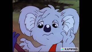 Blinky Bill Music Video [upl. by Costin]