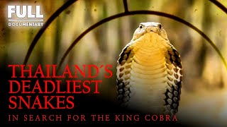 Thailand’s Deadliest Snakes  In Search For The King Cobra  2024 Full Length Documentary [upl. by Gilberte385]