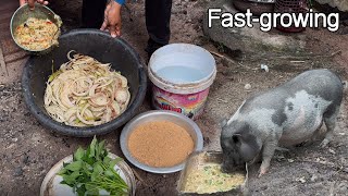 Easy Pig Feed Mix  LowCost Pig Feed Recipe [upl. by Elinet507]