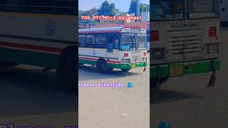 TGS RTC my first bus WL2 Warangal viralvideo automobile tsrtc travel trending  subscribe🎉 [upl. by Dugaid285]