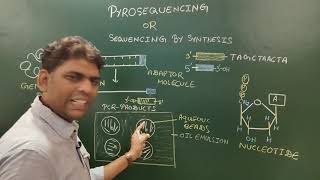 Pyrosequencing [upl. by Atauqal]