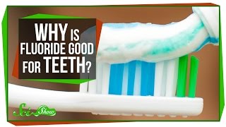 Why Is Fluoride Good for Teeth [upl. by Schlenger]