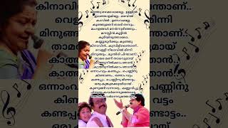 Onnam vattam kandappolChitra hitsmalayalam songlyrics mgsreekumar chitra [upl. by Meggs]