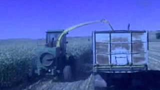 John Deere Silage Corn Harvester Chopper [upl. by Rimisac823]