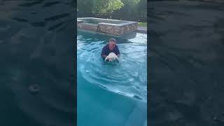 Labrador Puppy LinusGunner Learns How to Swim cutepuppy labrador labradorlovers [upl. by Fonsie493]