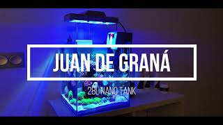 📌📌Juan de Granada  NANO 28L Episodio 2 [upl. by Dietz]