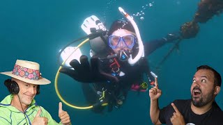 Divers React to Terrifying Wreck Experience [upl. by Aihsital971]