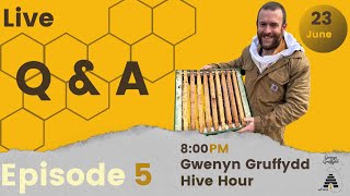 Gwenyn Gruffydd Hive Hour With Gruffydd Rees Q amp A  Episode 5 [upl. by Enitsud]