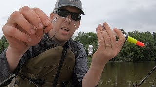 River Fishing for Catfish with Floats  Multi species slam on Mystery River [upl. by Asereht]