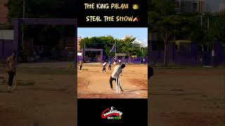 The king Palani 👑🏏steals the show 🔥🏆 [upl. by Gaulin]